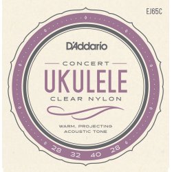 D'Addario EJ65C Ukulele Koncert